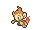 Chimchar